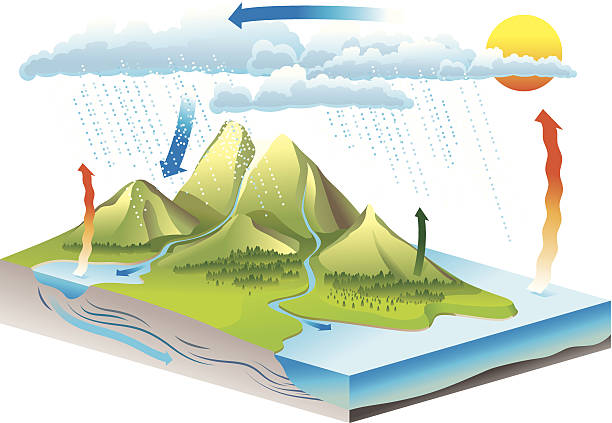 Water Cycle vector art illustration