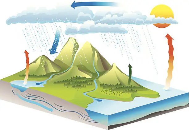 Vector illustration of Water Cycle