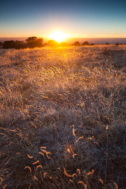 istock southwest meadow landscape sunset 462874093