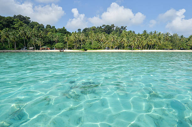 istock tropical beach with jungle, Andaman Sea, Thailand 462874755