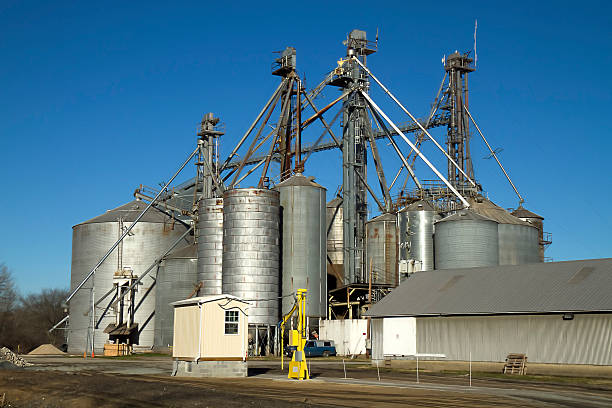 istock Metal Silos on Farm 462879849