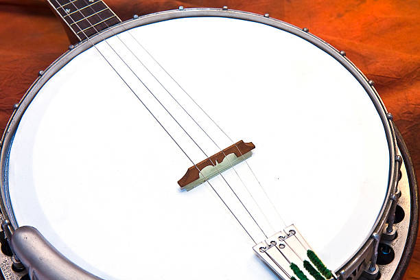 istock Close-up of Banjo Base 462879979
