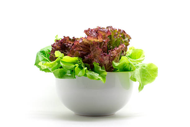 istock fresh mixed salad in a bowl 462881591