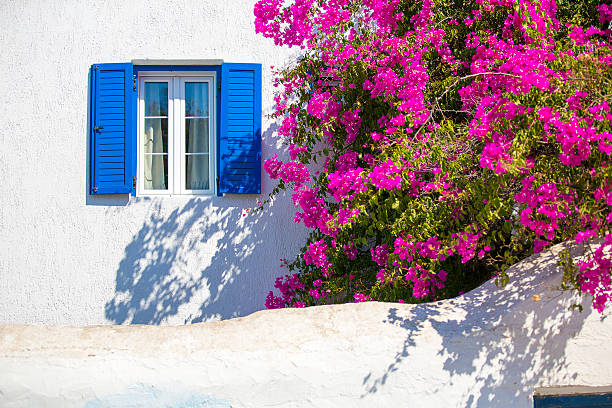 1,900+ Mykonos Flowers Stock Photos, Pictures & Royalty-Free Images ...