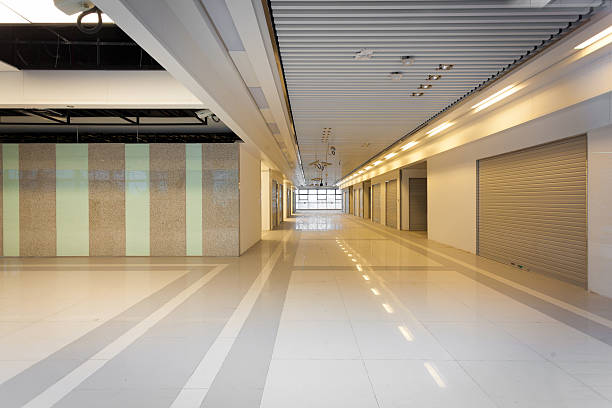 istock The tunnel in Shanghai, China 462884027