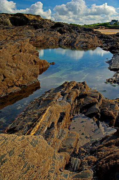 Cornwall Tree Pool 20,000+ Rock Cornwall Stock Photos, Pictures & Royalty-Free Images - iStock