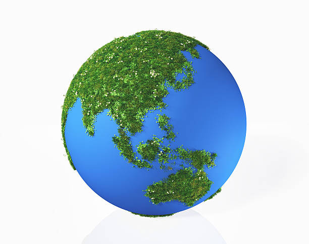 istock the Asia is covered by grass and flowers 462901453
