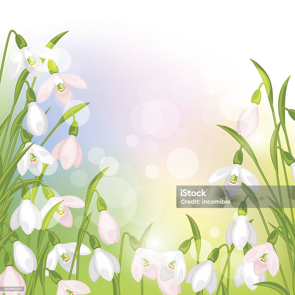 Spring flowers snowdrops natural background. Beauty stock vector