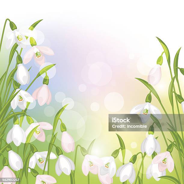 Spring Flowers Snowdrops Natural Background Stock Illustration - Download Image Now - Beauty, Beauty In Nature, Blossom