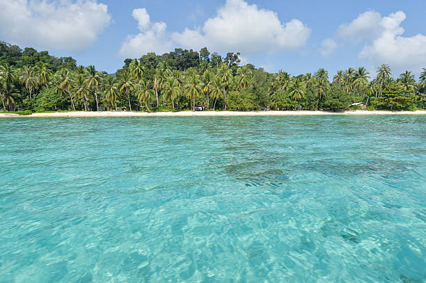 istock tropical beach with jungle, Andaman Sea, Thailand 462904783