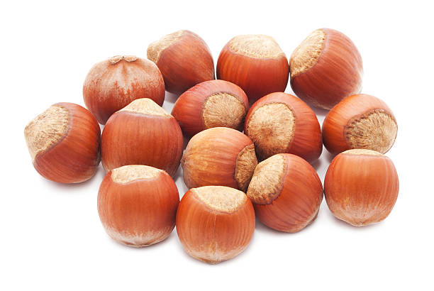 avelãs ou filbert - healthy eating macro close up nut imagens e fotografias de stock