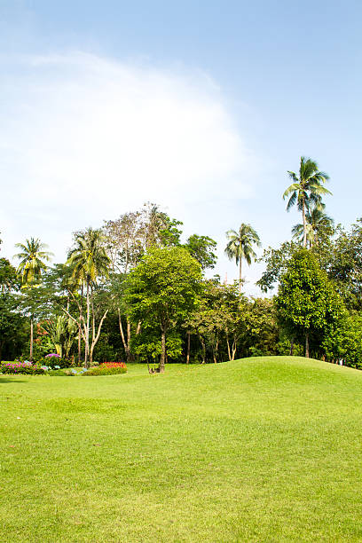 istock Thai style garden with green grass 462907729