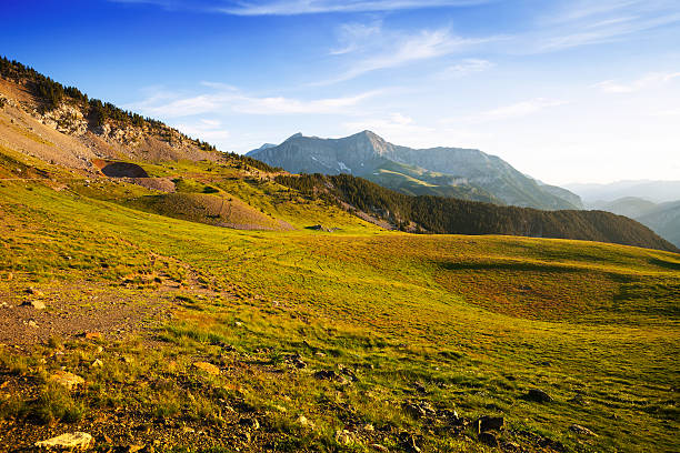 istock Summer view of highland meadow 462909841