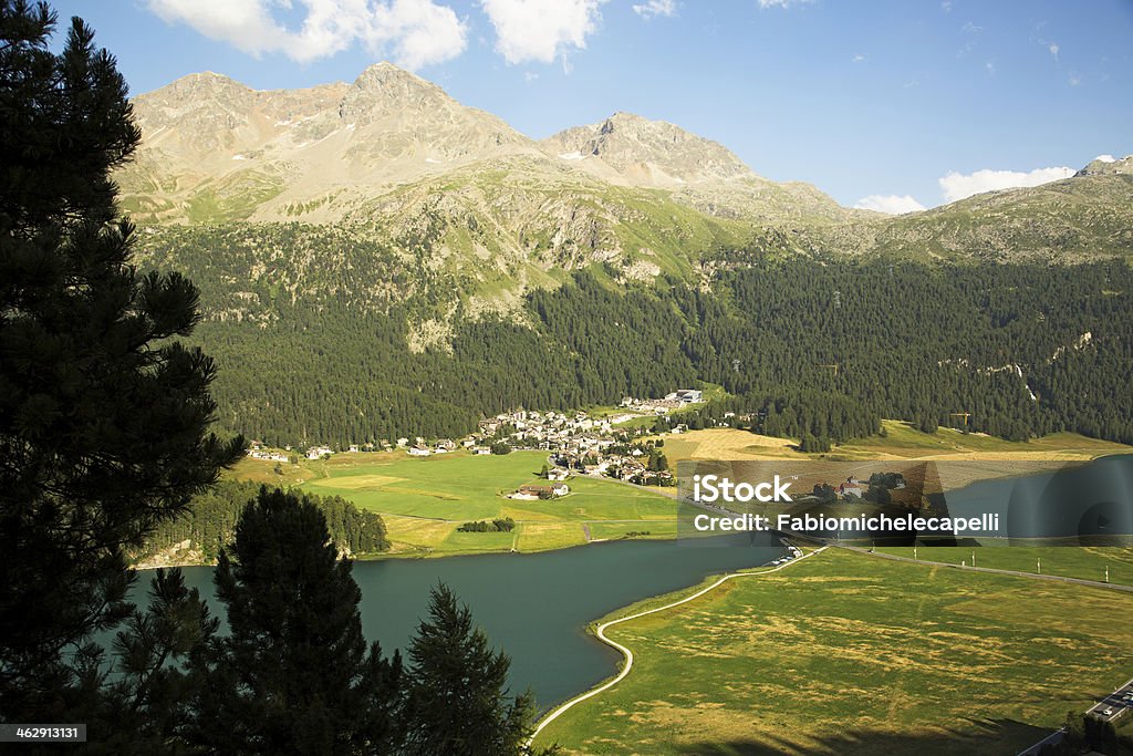 Surlaj-L'Engadine-Suisse - Photo de Arbre libre de droits