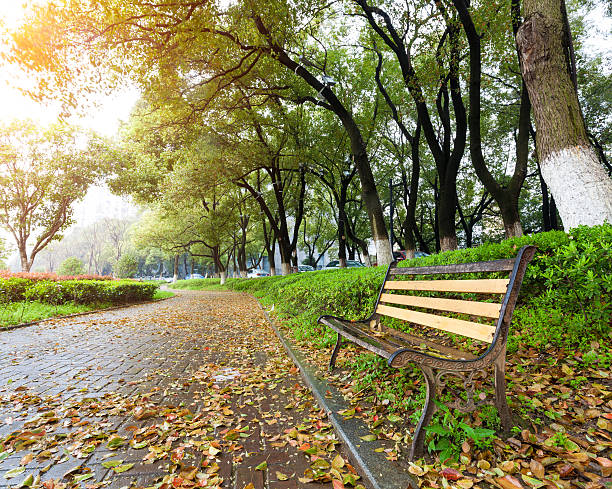 istock Country road with trees along 462917837
