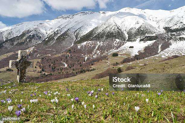 Photo libre de droit de Paysage Alpin Printemps Fleur Et Gazon Vert Prairie banque d'images et plus d'images libres de droit de Alpes européennes