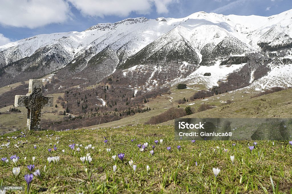 Paisagem alpina, Primavera flor e relva verde Prado - Royalty-free Abundância Foto de stock