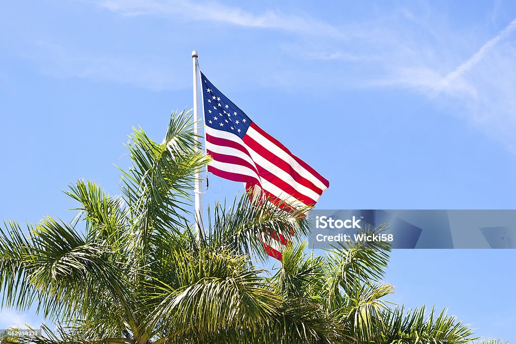 Bandera estadounidense de palmera - Foto de stock de Bandera estadounidense libre de derechos