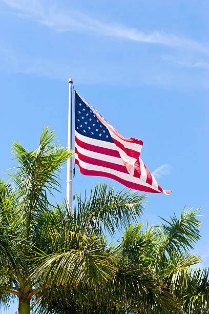 istock American Flag Over Palm Trees 462944529
