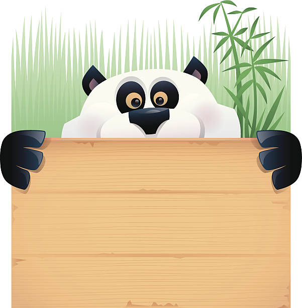 panda with wooden board vector illustration of  panda with wooden board… chinese panda stock illustrations