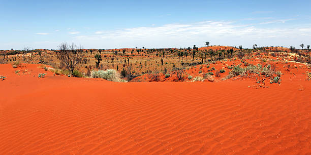Australian Desert Red sand dunes landscape in central Australia south australia photos stock pictures, royalty-free photos & images