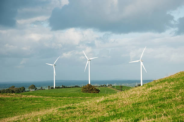 istock Wind turbines in the field generating electricity 462952785