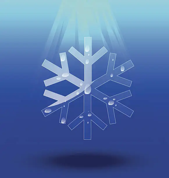 Vector illustration of Snowflakes Crystal vector