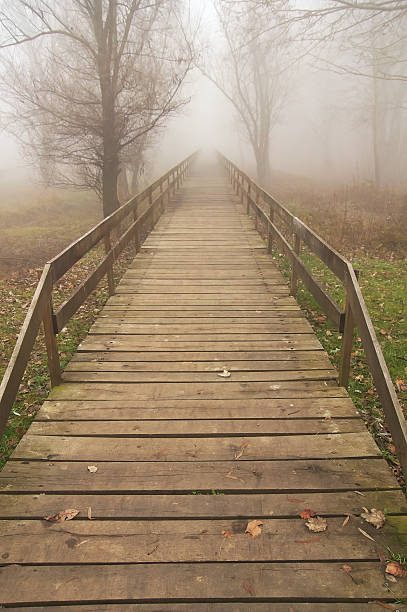 istock Fear to cross wooden bridge 462953543