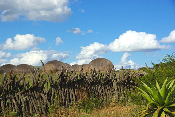 zulu huts - south africa africa zulu african culture imagens e fotografias de stock