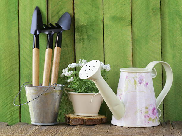 istock rustic still life watering can, flowers in pots, garden tools 462960499
