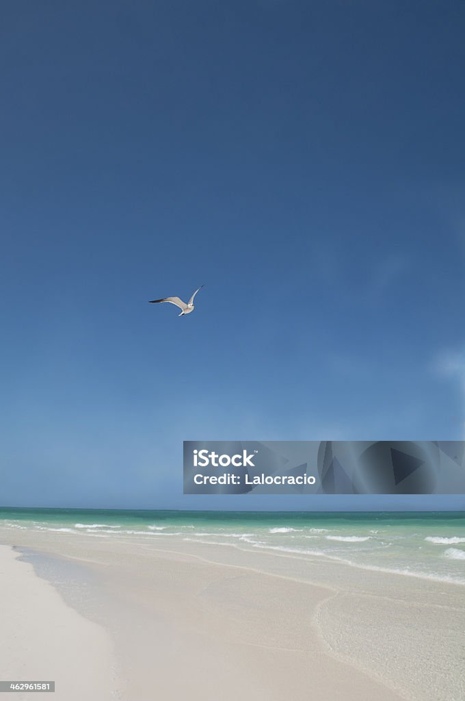 Playa Caribe. - Foto de stock de Aire libre libre de derechos