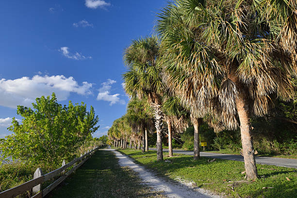 istock Trail in Bill Baggs Cape Florida State Park 462966151