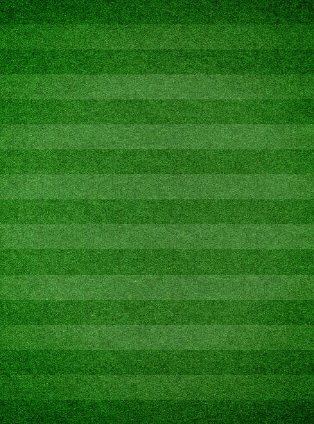 textura de fondo con césped sábanas - soccer soccer field grass artificial turf fotografías e imágenes de stock