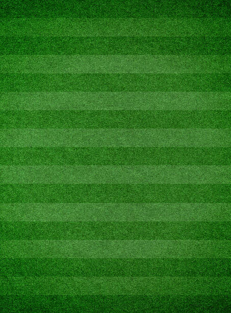 Grass texture with stripe background Grass texture with stripe putting green stock pictures, royalty-free photos & images