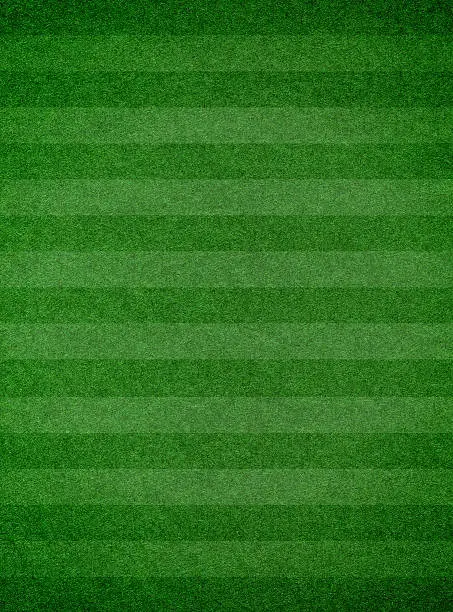 Photo of Grass texture with stripe background
