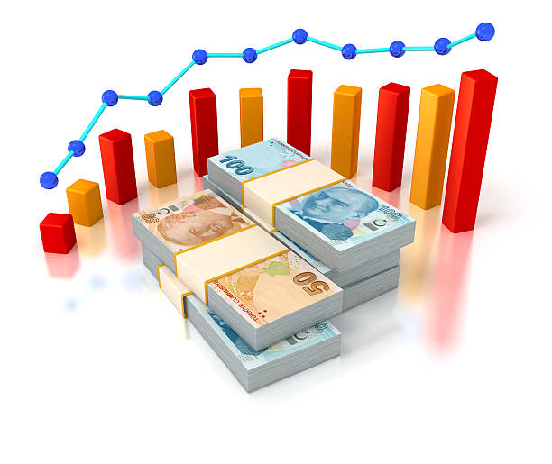 istock Financial succes, Turkish Lira bills and progress chart. 462967439