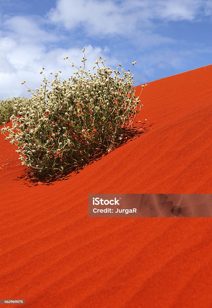 Red Australian Sand Dune Red Australian sand dune close-up. Arid Climate Stock Photo