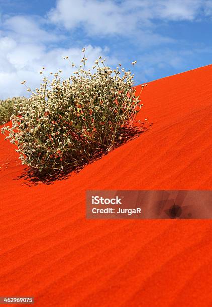 Red Australian Sand Dune Stock Photo - Download Image Now - Arid Climate, Australia, Australian Culture