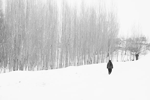 istock Woman walking in heavy snow with trees on the left 462969307