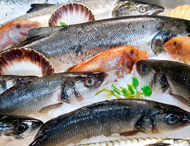 氷に乗った新鮮な魚、グリーン - fish fish market catch of fish market ストックフォトと画像