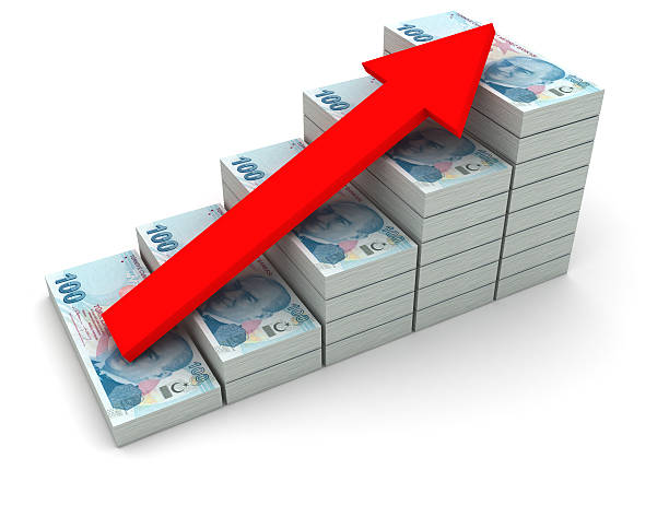 istock Increasing value of Turkish Lira. 462970779