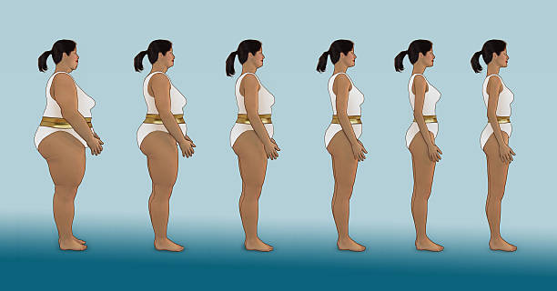 Losing weight in white bathing suit and golden belt Female figure losing weight  in 6 steps morph transition stock pictures, royalty-free photos & images