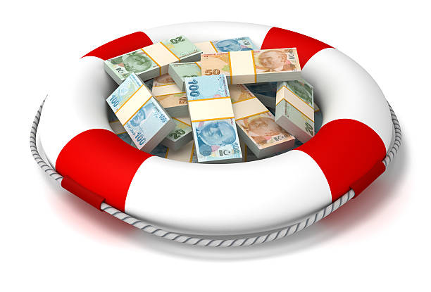 istock Investment and insurance. 462973779