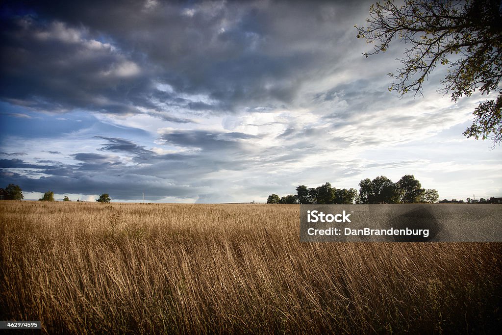 Farm and Dramatic Sky grassland on farm with dramatic sky Agricultural Field Stock Photo