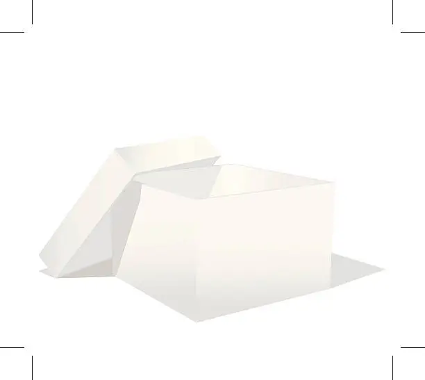 Vector illustration of white box