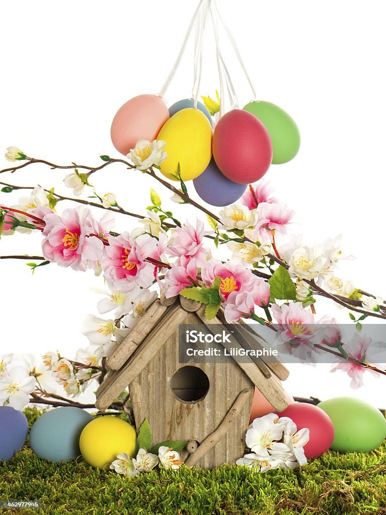 easter decoration with birdhouse and eggs on green grass colorful easter decoration with birdhouse and eggs on green grass. spring apple and cherry blossoming Animal Egg Stock Photo