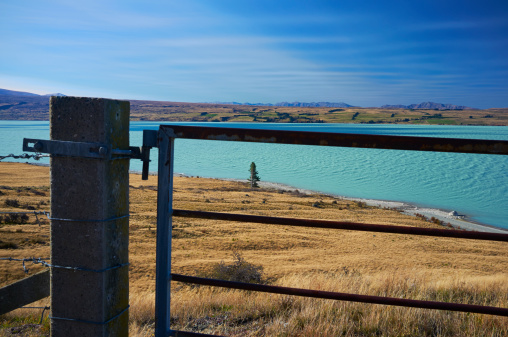 Meadow and Lake