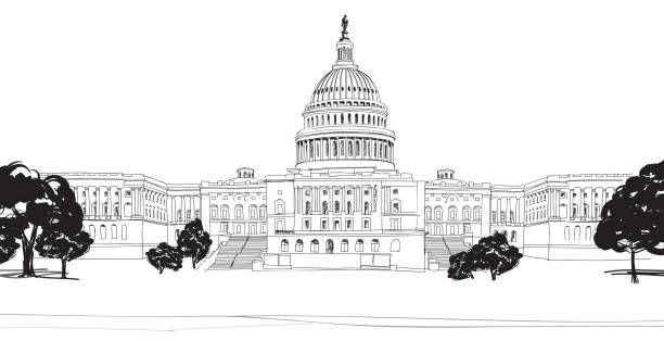 washington dc capitol mit garten landschaft, usa. - federal building illustrations stock-grafiken, -clipart, -cartoons und -symbole