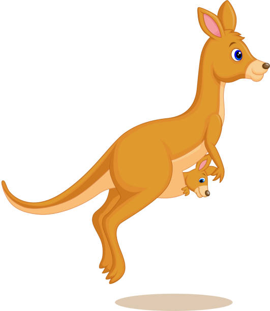 ilustraciones, imágenes clip art, dibujos animados e iconos de stock de madre y bebé kangaroo historieta - kangaroo animal humor fun