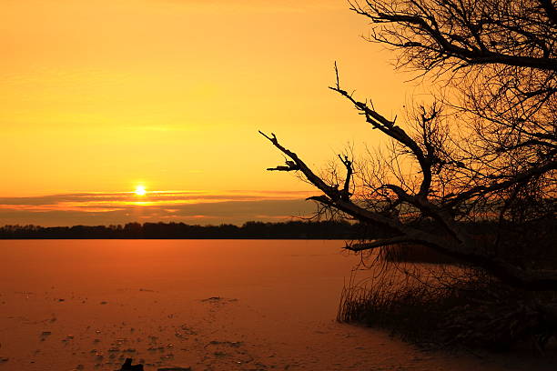 istock Sunset by a frozen lake 462983243